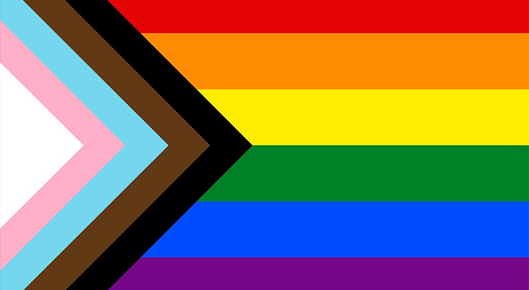 Progress Flag QueerPar